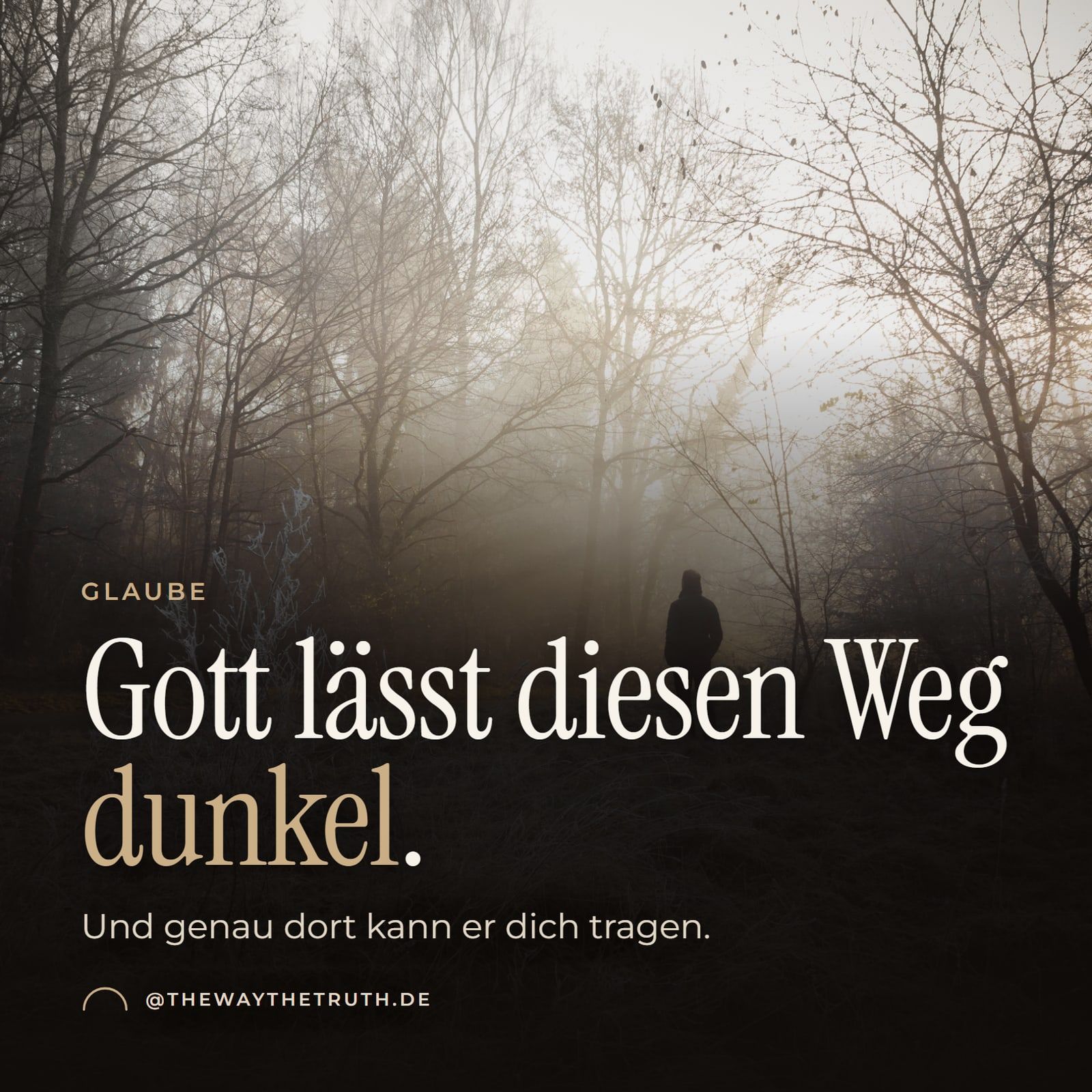 Thumbnail: Gott lässt diesen Weg dunkel. Und genau dort kann er dich tragen.